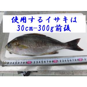 【一本釣りイサキ干物】即血抜きで臭み極少|旨味...の詳細画像1