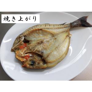 【一本釣りイサキ干物】即血抜きで臭み極少|旨味...の詳細画像5