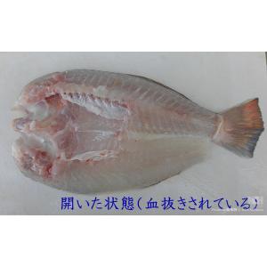 特別な日に、ご贈答に、ご褒美に|シロアマダイ干...の詳細画像2