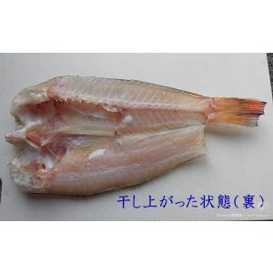 特別な日に、ご贈答に、ご褒美に|シロアマダイ干...の詳細画像3