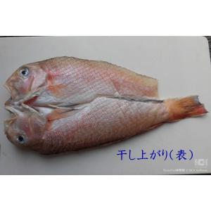 特別な日に、ご贈答に、ご褒美に|シロアマダイ干...の詳細画像4