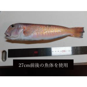 特別な日に、ご贈答に|シロアマダイ干物2枚(干...の詳細画像1