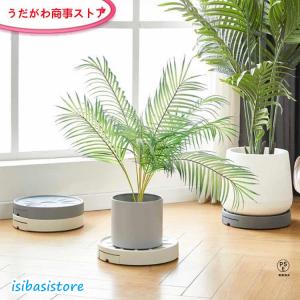 鉢台 排水トレー付き 鉢受台 鉢皿 鉢植え台 ...の詳細画像1