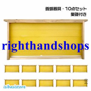養蜂巣礎シート200枚入り(シートのみです) Amazon | D・STONE 蜂の巣 蜜蜂 ミツバチ用 飼育 シート 巣礎