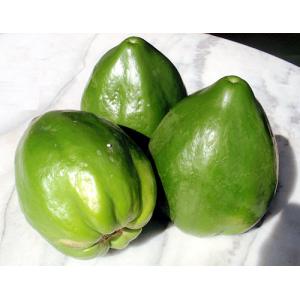 キョカヤノさん専用 青パパイヤ　10KG　スイートコーン5kg　20本入り エントリーでポイント10％！7/27まで】冷凍野菜 ハインツ日本