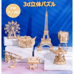 3dパズル 木製 パズル 子供 立体パズル ジグソーパズル 知育 3dウッド おもちゃ 組み立てキット 説明書付き 送料無料
