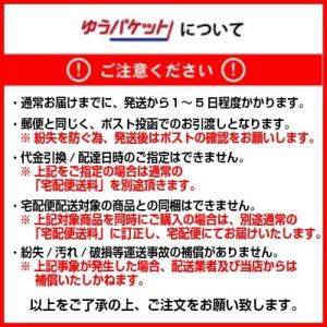 お墓用 線香立て 香炉 専用砂 香炉砂 500...の詳細画像2