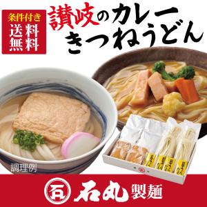 DM-20K 讃岐のカレー・きつねうどんセットD...の商品画像