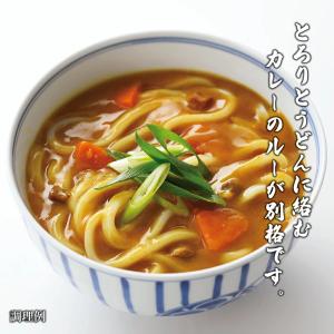 DM-20K 讃岐のカレー・きつねうどんセット...の詳細画像3