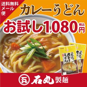 HP-9半生煮込カレーうどんお試しセット メール...の商品画像