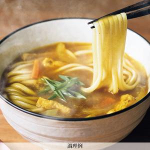 HP-9半生煮込カレーうどんお試しセット メー...の詳細画像1