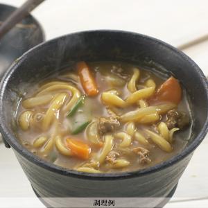 HP-9半生煮込カレーうどんお試しセット メー...の詳細画像4