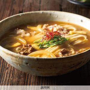 HP-9半生煮込カレーうどんお試しセット メー...の詳細画像2