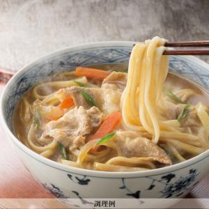 HP-9半生煮込カレーうどんお試しセット メー...の詳細画像5