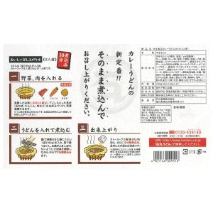 KS-6 半生煮込カレーうどん 4人前 ポイン...の詳細画像2