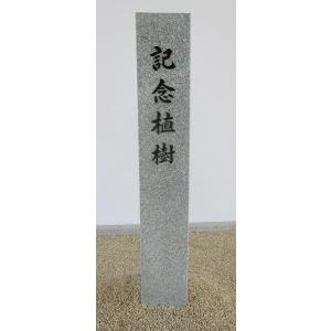 YX-29 【白御影石（磨き無）】 【記念碑 植樹記念 看板 道標 表札
