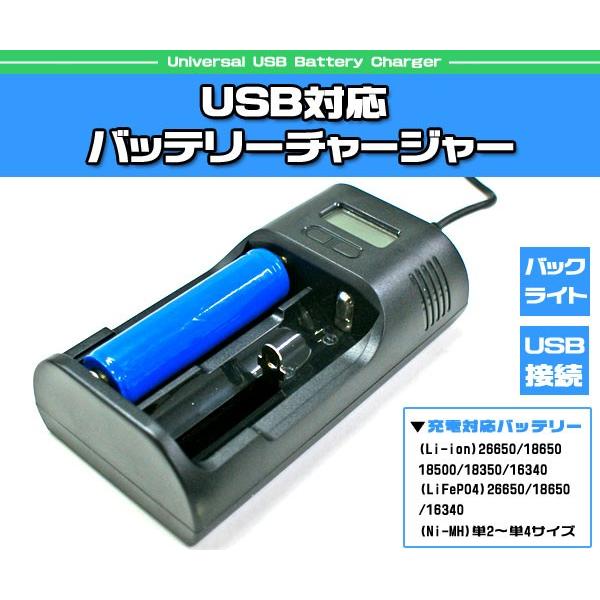 USB対応 バッテリーチャージャー 充電器(送料無料)