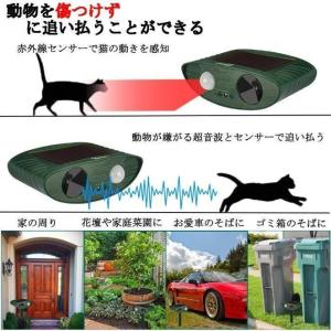 猫よけ ソーラー 充電 害獣駆除 猫除け セン...の詳細画像5