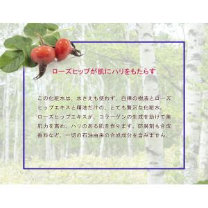 Ondo(オンド) ローズヒップの化粧水 100mlの詳細画像2