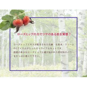 Ondo(オンド)ローズヒップシリーズお試し3...の詳細画像4