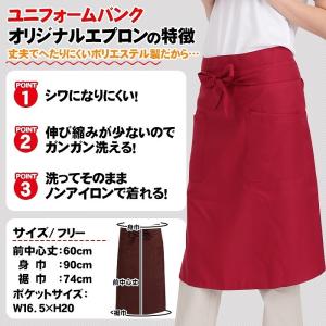 サロンエプロン ミドル ISIS-MIDDLE...の詳細画像1