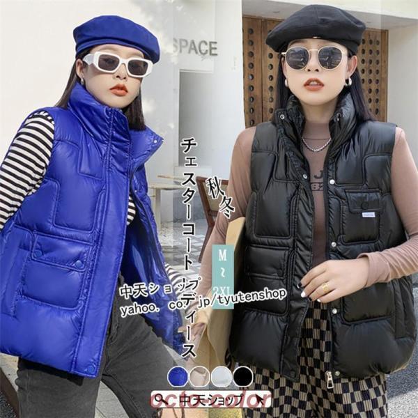 ダウン  レディース 40代 50代 ダウン 春秋 ゆったり おしゃれ 中綿 防寒着 アウター 袖な...