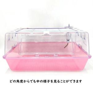 ハムスターケージ ハムスターハウス 飼育かご ...の詳細画像3