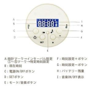 自動給餌器 オートペットフィーダー 自動 給餌...の詳細画像2