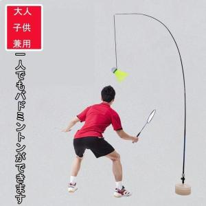 オリジナル商品】【使用動画あり】バドミントン 練習 練習具 道具 かべ