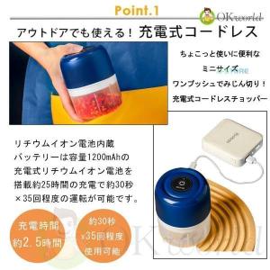 電動フードプロセッサー おしゃれ ブレンダー ...の詳細画像5