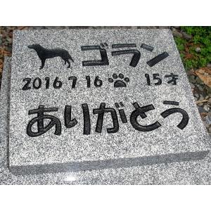 ペットのお墓【本格文字彫入れ型】青御影石(グレ...の詳細画像3