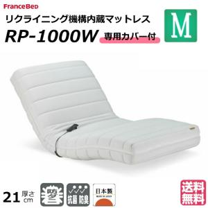 フランスベッド（FRANCEBED） リハテック 背楽チェア SEC-02 ダーク