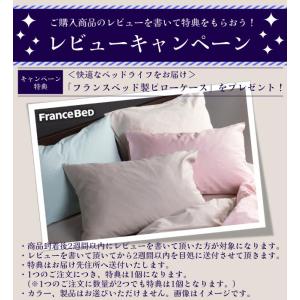 フランスベッド シングル マットレス TW-1...の詳細画像1