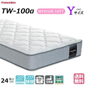 フランスベッド（FRANCEBED） JM-101S シングルサイズ 二段ベッドハイ