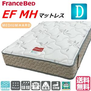 フランスベッド（FRANCEBED） マットレス ツインサポートスプリング TW