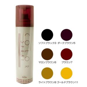 ジュモン レインスプレーペアセット236g・ミニ48g : 愛らんど