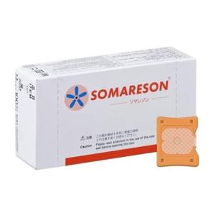 ソマセプト L 100個入り SOMACEPT : ビューティギャラリーこばやし