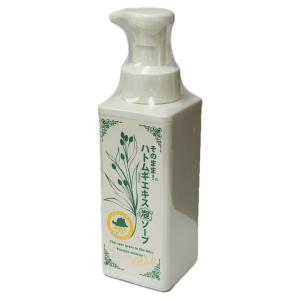 スターライズ アクアステラ ソリューション 120ml【送料無料】 爆買