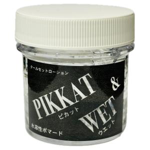 アクアーリオ 520ml ビーワン 環境保全研究所 無添加天然化粧水