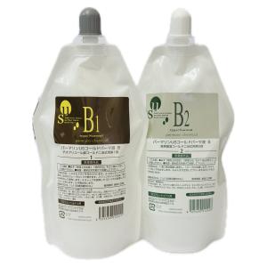 アクアーリオ 520ml ビーワン 環境保全研究所 無添加天然化粧水