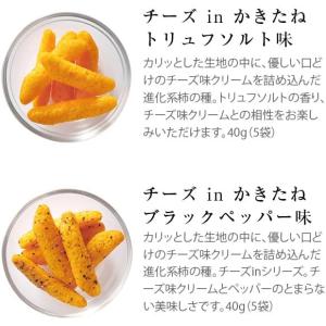 かきたねキッチン チーズ in かきたね アソ...の詳細画像5