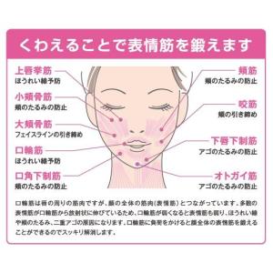 【正規品 即納】オムニ フェイシャルリフトアト...の詳細画像3