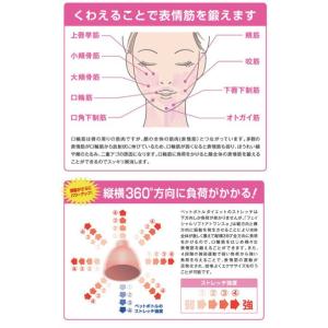 【正規品 即納】【ビギナーズセット】オムニ フ...の詳細画像4