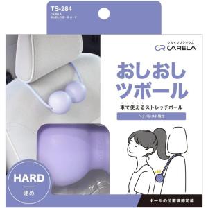 【新品アウトレット】槌屋ヤック 車内用品 マッ...の詳細画像5