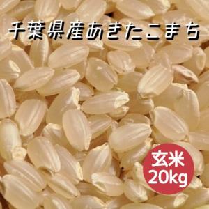 米 お米 玄米 20kg あきたこまち 令和5年産 本州四国 送料無料 紙袋 綺麗仕上 異物除去 石...