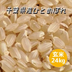 米 お米 玄米 25kg ひとめぼれ 令和4年産 本州四国 送料無料 精米無料 小分け可 綺麗仕上 異物除去 石抜き済 30kg ⇒25kgへ変更 ヒトメボレ