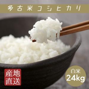 令和7年産 米 お米 粒すけ 白米 10kg 5kg×2袋 本州四国 送料無料 爆買