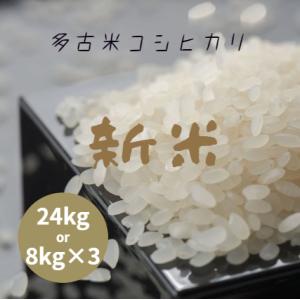 新米 令和7年産 千葉県産 多古米 コシヒカリ 白米 24kg (8kg×3袋) 本州四国 送料無料...