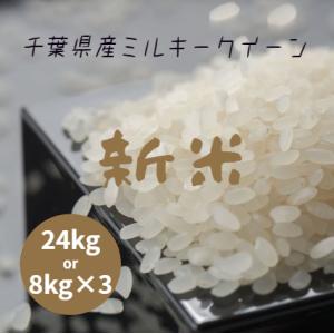 米 お米 白米 24kg (8kg×3袋) ミルキークイーン 令和5年産 本州四国 送料無料 小分け...