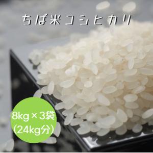 @700円/kg 令和7年産(10割) ちば米 ...の商品画像